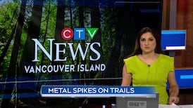 CTV News Vancouver Island at 4:30 for Wednesday, June 17, 2026