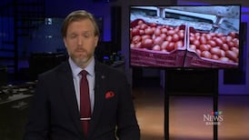 CTV News Barrie at Six for Monday, June 22, 2026