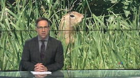 CTV News Regina at Six for Thursday, June 4, 2026