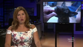 CTV News Barrie at Six for Friday, Jul. 10, 2026