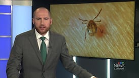 CTV News London at Six for Monday, Jul. 13, 2026