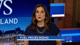 CTV News Vancouver Island at 4:30 for Tuesday, Jul. 14, 2026