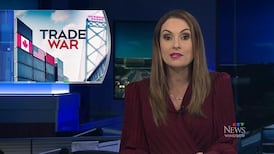 CTV News Windsor at Six for Tuesday, Jul. 21, 2026