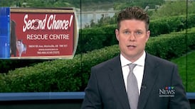 CTV News Edmonton at Six for Monday, Jul. 27, 2026