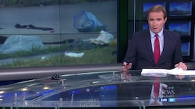 CTV News Calgary at Six for Thursday, Jul. 30, 2026