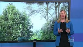 CTV News Kitchener at Six for Thursday, Jul. 2, 2026