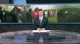 CTV News Edmonton at Six for Wednesday, Jul. 8, 2026