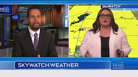 CTV News Winnipeg at Six for Wednesday, Jul. 8, 2026