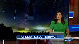 CTV News Vancouver Island at 4:30 for Tuesday, Aug. 11, 2026