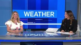 CTV News Kitchener at Six for Monday, Aug. 10, 2026