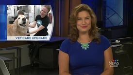 CTV News Barrie at Six for Friday, Aug. 7, 2026