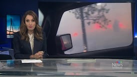CTV News Windsor at Six for Tuesday, Aug. 11, 2026