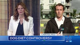 CTV News Calgary at Six for Wednesday, Aug. 12, 2026