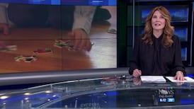 CTV News Calgary at Six for Friday, Aug. 21, 2026
