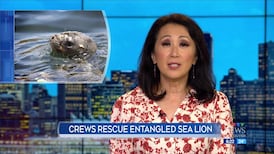 CTV News Vancouver at Six for Tuesday, Aug. 25, 2026