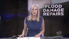CTV News Ottawa at Six for Wednesday, Aug. 26, 2026