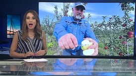 CTV News Windsor at Six for Thursday, Aug. 27, 2026