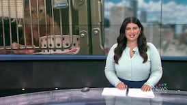 CTV News Edmonton at Six for Thursday, Aug. 27, 2026