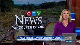 CTV News Vancouver Island at 4:30 for Tuesday, Aug. 4, 2026