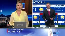 CTV News Vancouver Island at 4:30 for Wednesday, Aug. 5, 2026