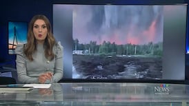 CTV News Windsor at Six for Tuesday, Sep. 15, 2026