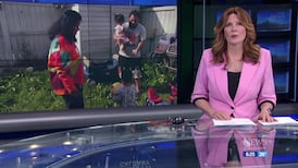 CTV News Calgary at Six for Tuesday, Sep. 1, 2026